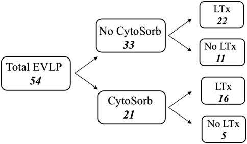 Manuskript screenshot