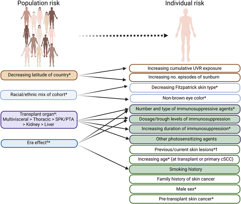 Эстрада әншілерінің жалаңаш бөкселерінің видеолары