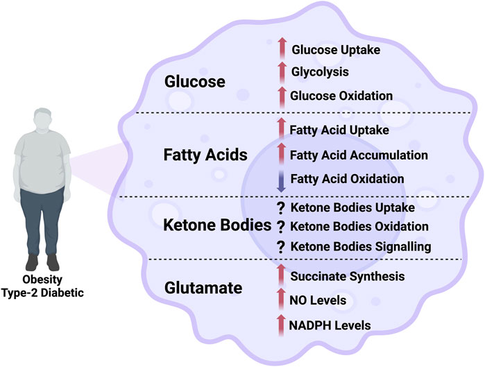Frontiers Publishing Partnerships | Metabolic flux in macrophages