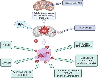 健康・医学 The CELL Amazon | Essential Cell Biology | Alberts, Bruce, Heald