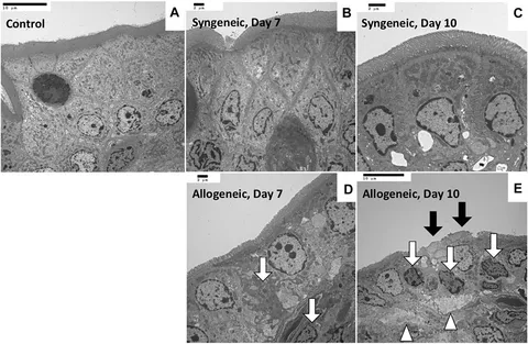 Frontiers Publishing Partnerships | Dysbiosis and Depletion