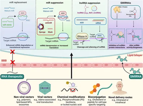 Frontiers Publishing Partnerships | Noncoding RNA